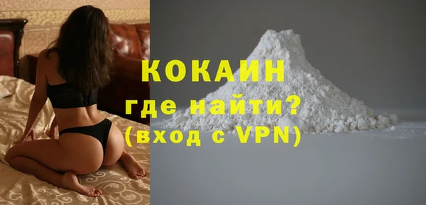 шишки Строитель
