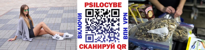 что такое Ессентуки мега как войти Галлюциногенные грибы MAGIC MUSHROOMS