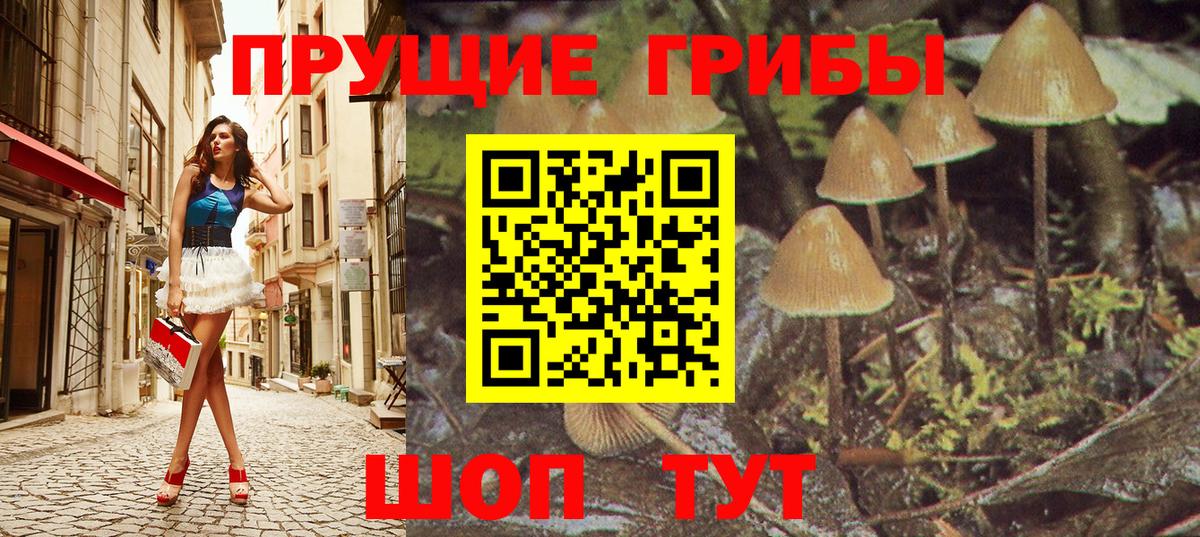 А ПВП Ессентуки