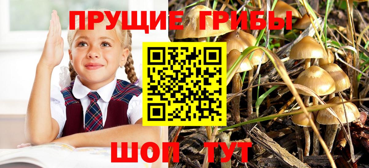 Псилоцибиновые грибы Magic Shrooms  Вход с VPN  Ессентуки 