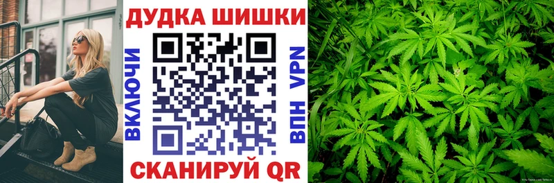 Бошки марихуана планчик Ессентуки
